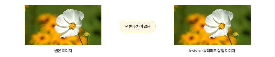 Invisible 워터마크 삽입 이미지 = 원본과 차이 없음